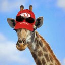 Tracy Shreve - @a15406d81443491 - Twitter