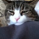 Debbie Levy - @beach3lover - Twitter