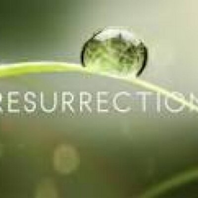 AbcResurrection's profile image