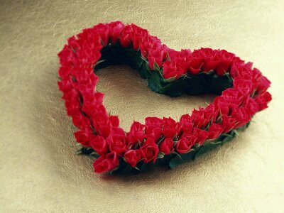 الخاص ممنوع‏‏