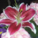 Susan Plaisted - @LibraryatSSS - Twitter