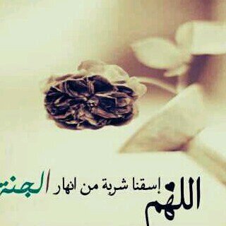 nono1410201's profile picture. ‏‏يارب♥أسألك جنة فيها هناء لي ولمن أُحب...