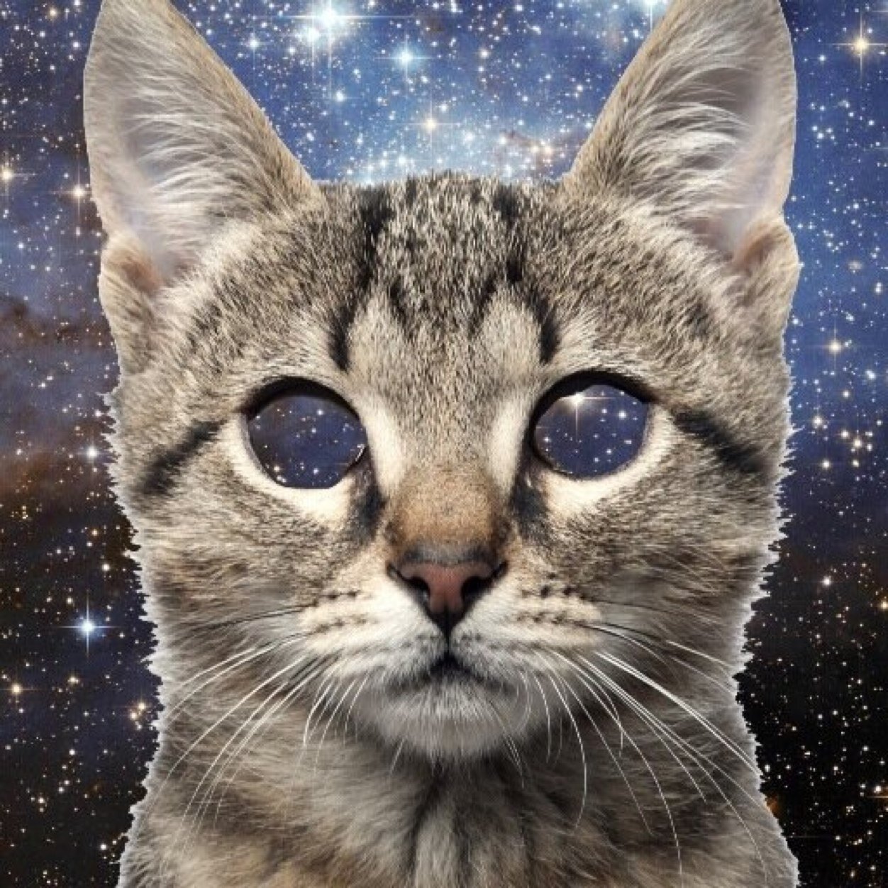 GlozzomXBL's profile picture. 