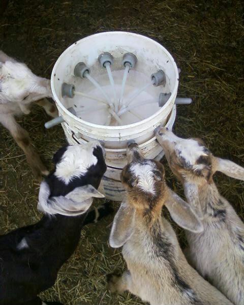 andrewmorais17's profile picture. 