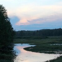 Forever Wild (@protectadk) 's Twitter Profile