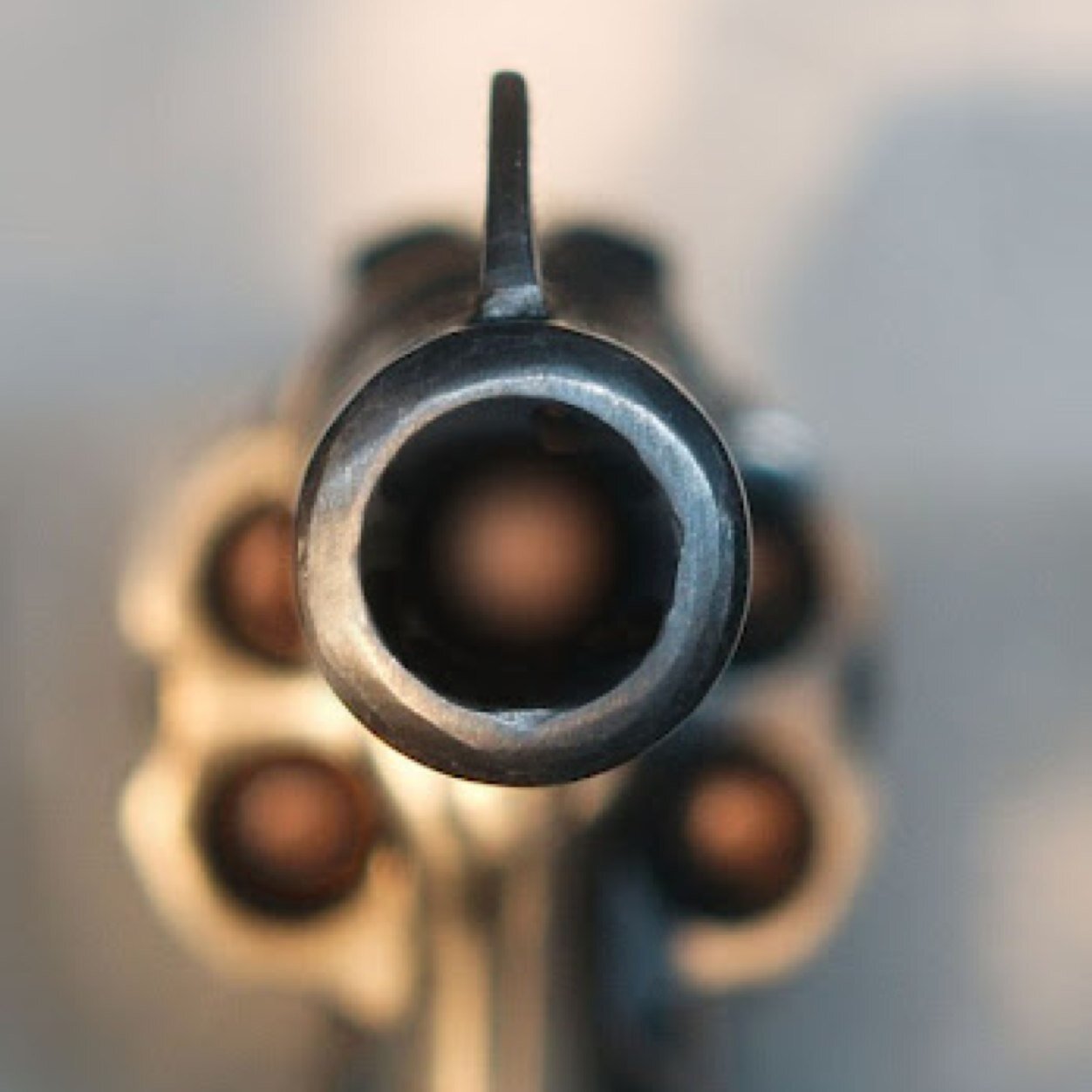 boyle801's profile picture. 