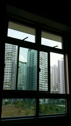 lis_eliza's profile picture. 