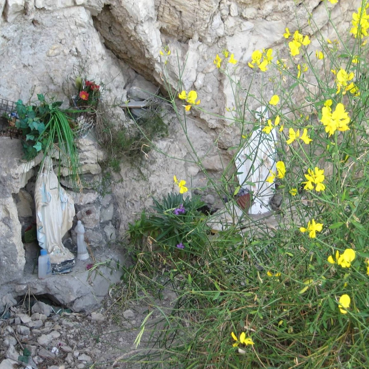 gummiebunnies's profile picture. 