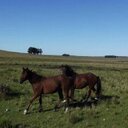 amanda stetson - @AmandaStetson83 - Twitter