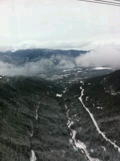 bradymcknight14's profile picture. 