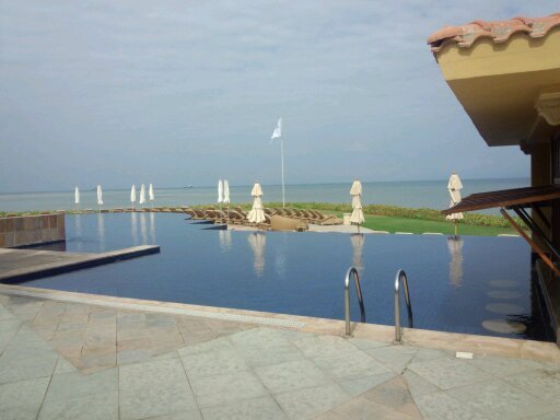 mantogalo's profile picture. 