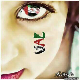 snoopy_deil's profile picture. ѕн‎j 4 ever