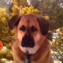 Diane MacDonald - @DianeMa02168440 - Twitter