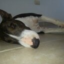 daniel cervera - @danielcervera - Twitter