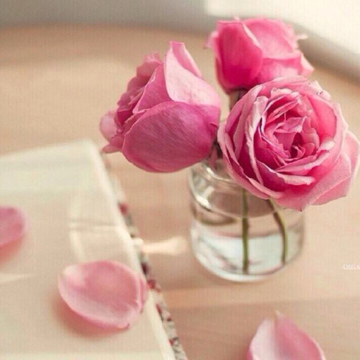 : الدنيا حِكايةٌ خُرَافية ، أحْدَاثُها أغَربُ من الخَيَال ، تَتَحَدّثُ عَن البقاء ولاَ شيءَ فِيهَا يَدومّ *٭