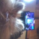 mitchell chappell - @mitchellchappe1 - Twitter