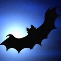 Zhuohe Liu (@mxgharryliu) 's Twitter Profile