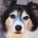 Trish Benedict - @TrishaBenedict - Twitter