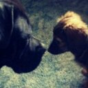 Ashley Busse - @BusseAshley - Twitter