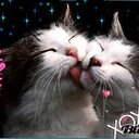 Raquel Quezada  - @jesenlog - Twitter