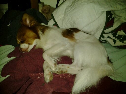 Nomaddad's profile picture. 