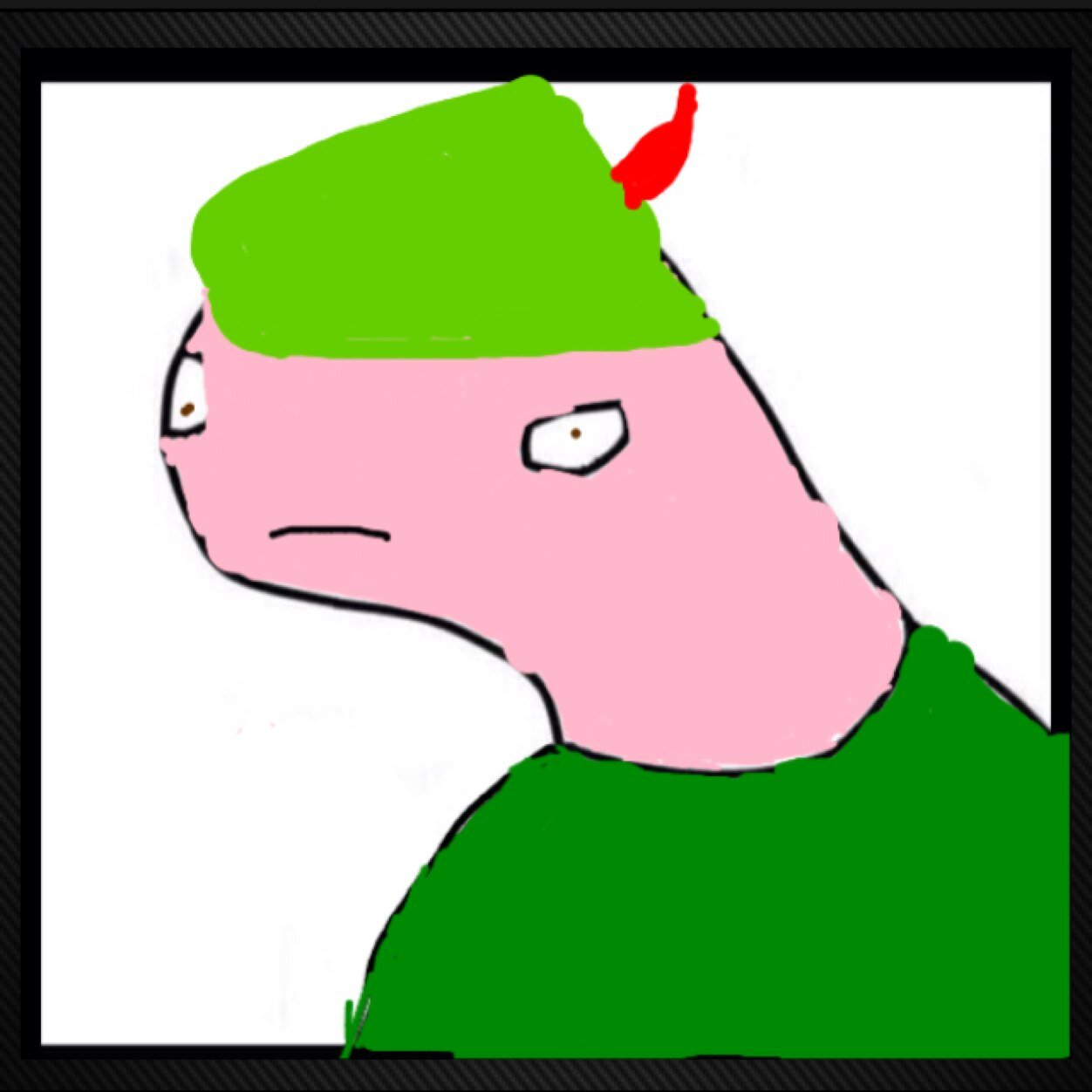 Created 3/10/14 | Team Green |*Parody account| Original account| fak captun hok