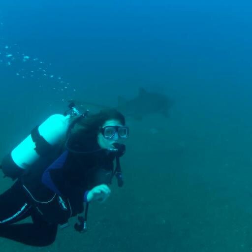 aaronatelusma's profile picture. UNCW alumna, clinical research analyst, burrito enthusiast, and general lover of all things science. Views are my own.