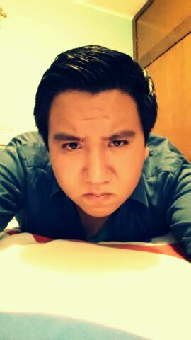 Ingeniero, Consultor y Viajero