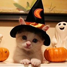 iyokan326's profile picture. あるあるネタを呟いています。