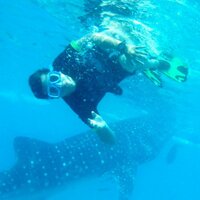 Junel Solis (@junelsolis) 's Twitter Profile