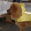 rosa vela ramos - @aramos1763 - Twitter