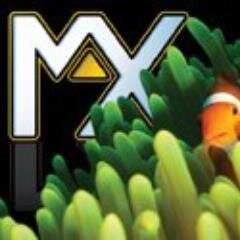 The Marine Aquarium Expo is the Greatest and most Inspiring consumer trade show in North America for the aquarium industry: April 5-6, 2014