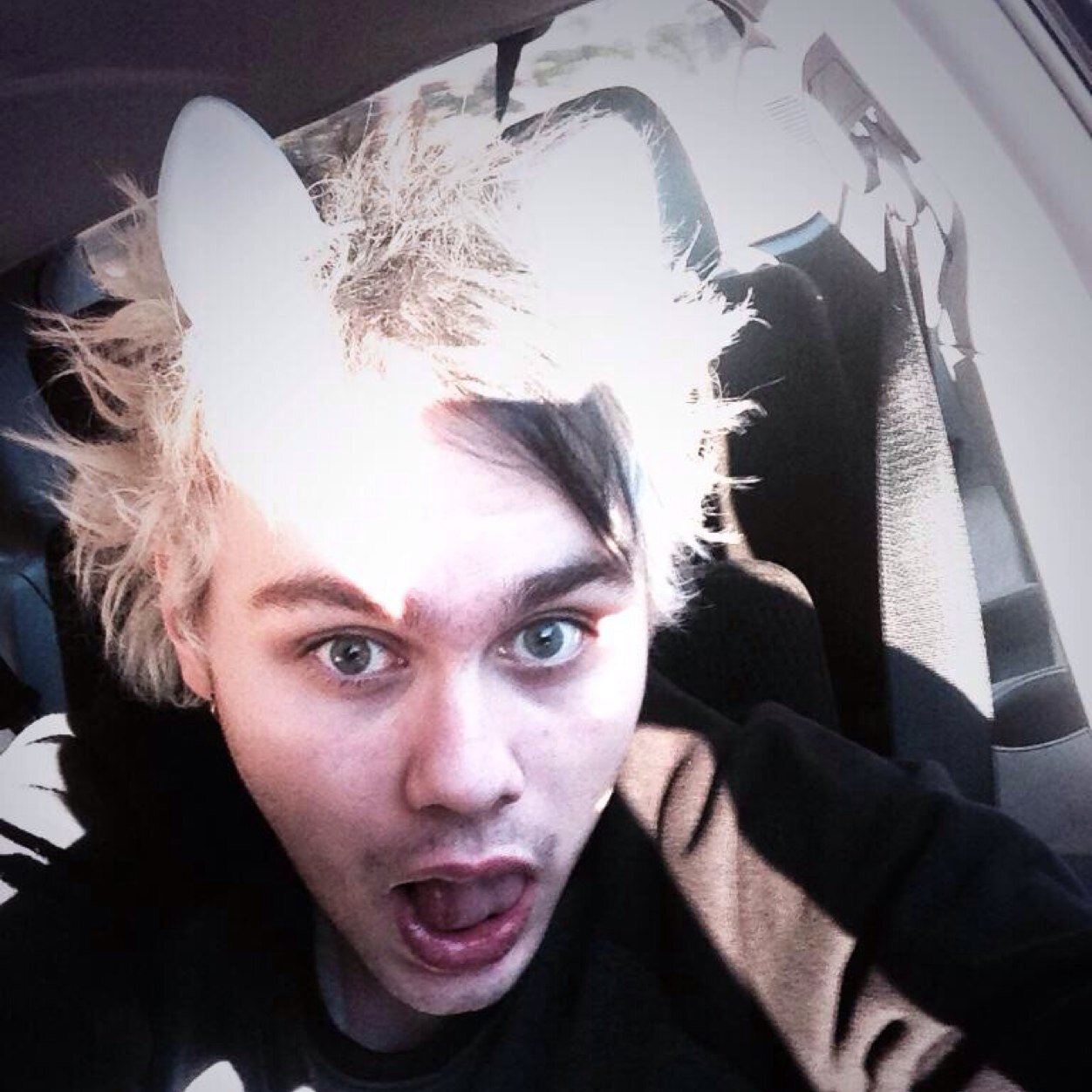 cliffordforever Profile Picture