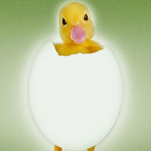 子供の頃には”？”がいっぱい
大人になったら解るはずと・・・
（教育の大切さを痛感）
世の為人の為に尽力されている総ての方々に敬意を！
　　　　　　　　天地弥栄　日本弥栄