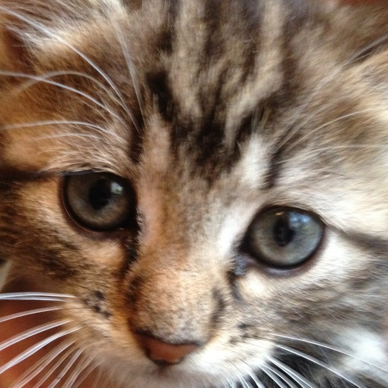 2D_LoL's profile picture. 