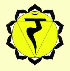 Praticien Reiki & Psycho-Métakinébiologie