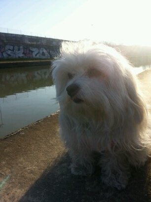 lecimmerien's profile picture. Directeur de Éditorial de Midgard Édition. Du space op', de l'urban fantasy, de l'horreur, de la fantasy etc...
http://t.co/44dCAaKErY