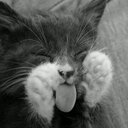 mario,pereda - @pereda900 - Twitter