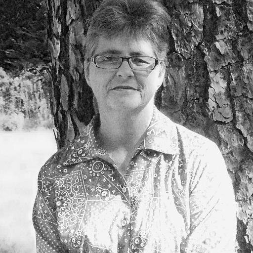 MECHELHOWE's profile picture. the mom of one great daughter, son in law and two grandsons. I am a beginner in wood working I am still trying to learn it all saws.