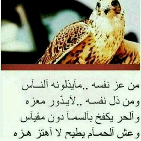 ‏‏اللهم انصر المسلمين في كل مكان                                                          السليل