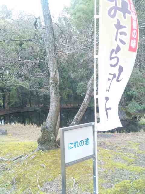 iiwachii's profile picture. マイペースです。マイペースすぎて、自分でも困ります。マイペースというより、動きが遅いだけかもしれません。