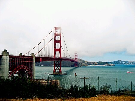 WeshopUS's profile picture. 