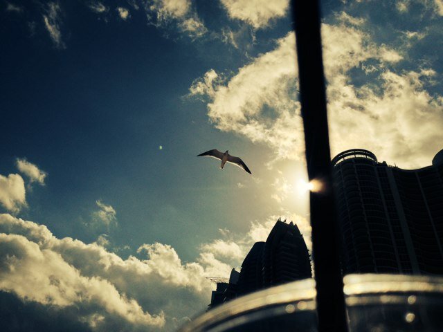 AiSelvin's profile picture. 