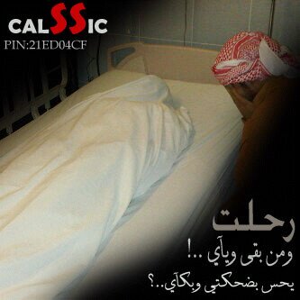 fyyrr443337's profile picture. ي ليت كل من تحب ي حبك