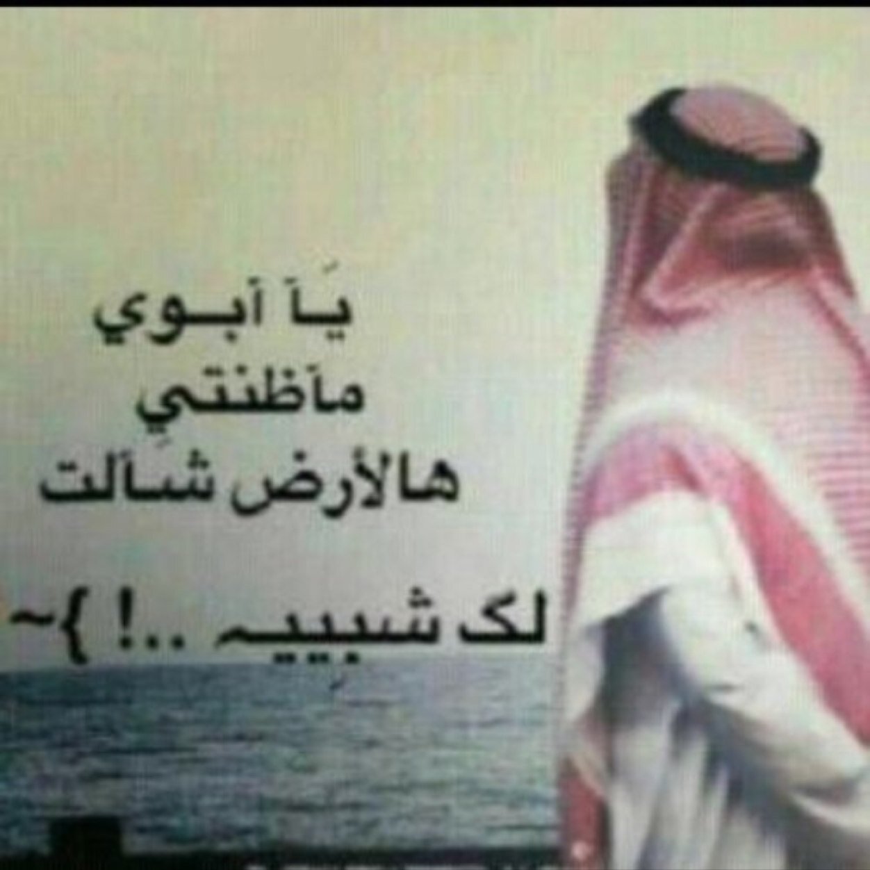 والدي لازلت أتخيل أن وفاته مجردحلم وانه على قيدالحياة لازلت أتذكره فأبتسم مره وأبكي الف مره عندرؤية ملامحه في عيني(فيارب ارحمهُ كما رباني صغيرا)