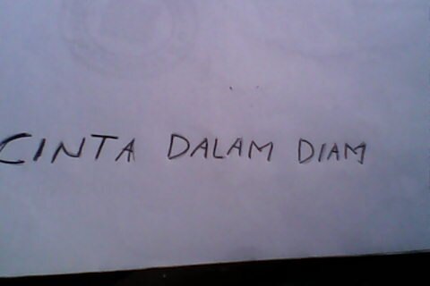 cintadalam_diam Profile Picture