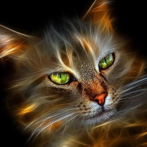 ZzJamilzZ's profile picture. 🌅