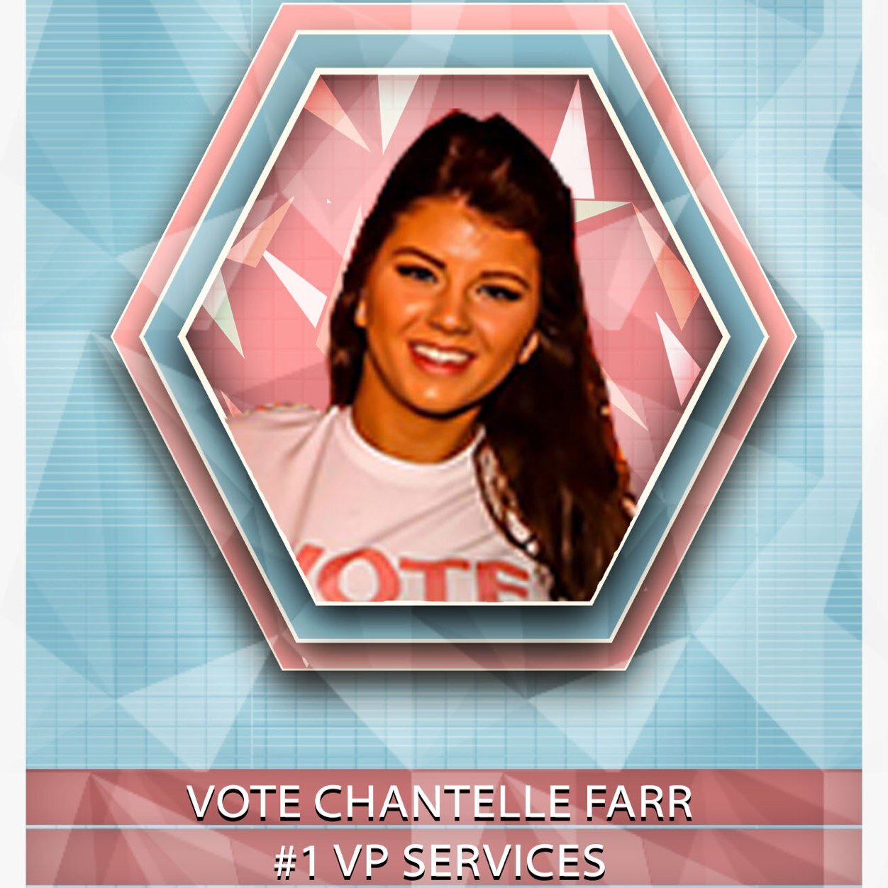 Your current Clifton Liaison Officer, NUS Delegate and all round lovable human being is running for VP Services 2014/15.

Vote CHANTELLE FARR #1