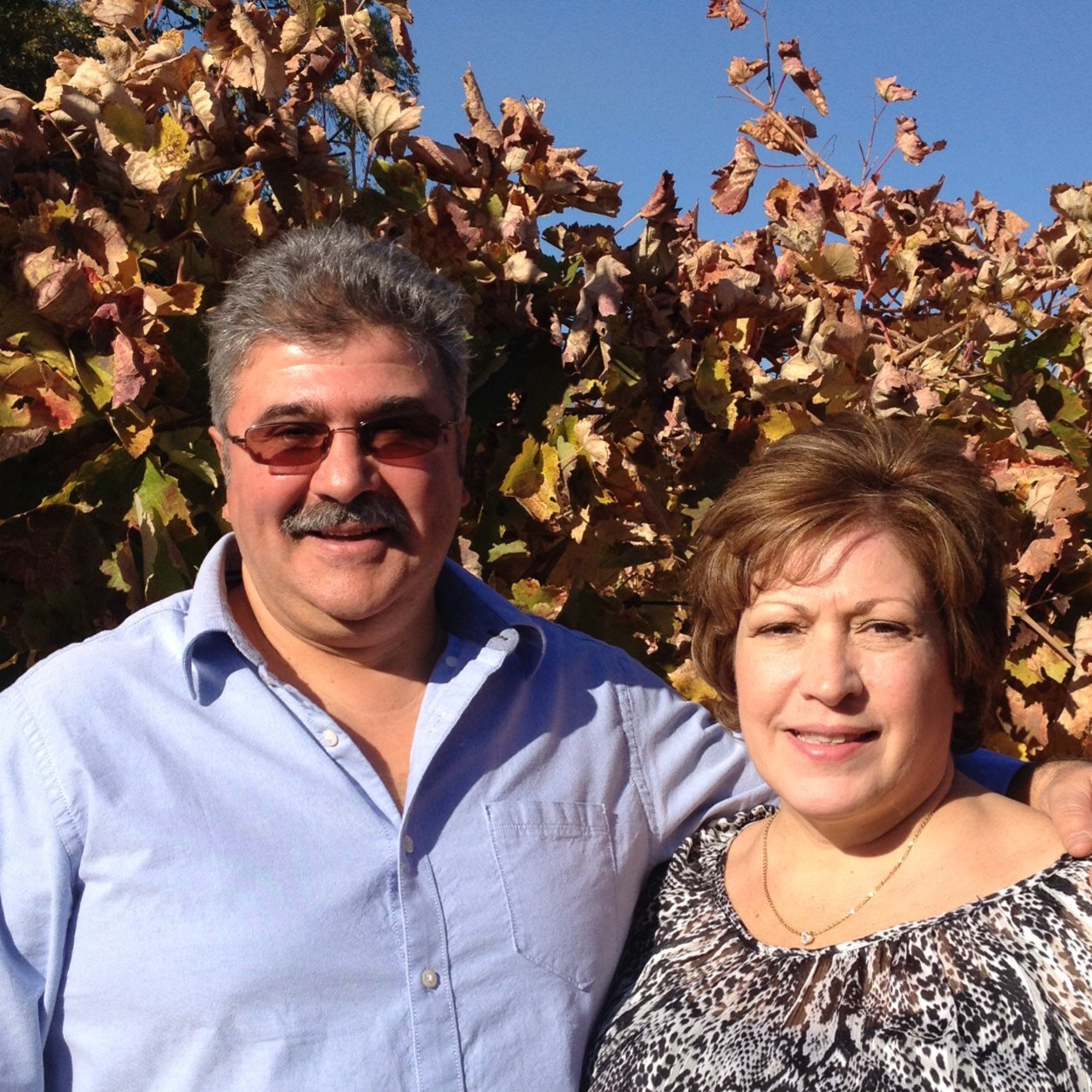 amcannella's profile picture. 