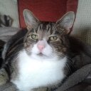 Julia Griffiths - @JuliaGriffiths8 - Twitter